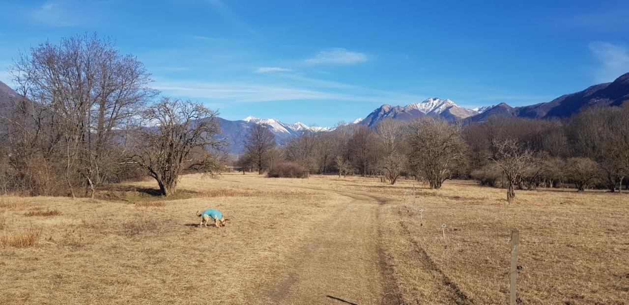 Appartamento Di Vacanza Casa Leoni Verscio ภายนอก รูปภาพ